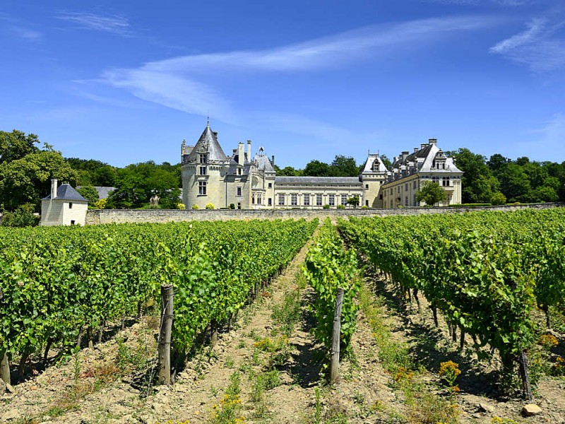 Ausflug zum Schloss Brézé - Loire Urlaub