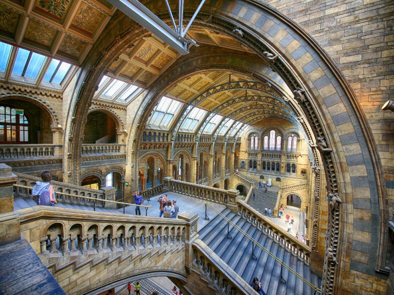 London umsonst, kostenlose Ausflüge - National History Museum