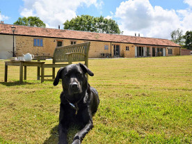 Hundefreundliche Cottages in Dorset