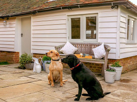 Hundefreundliches Ferienhaus in Kent