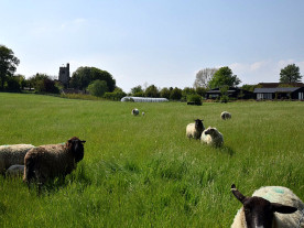 Ferienhaus Urlaub auf einem Bauernhof in Kent