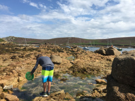 Rock pooling im Familien Urlaub in Cornwall