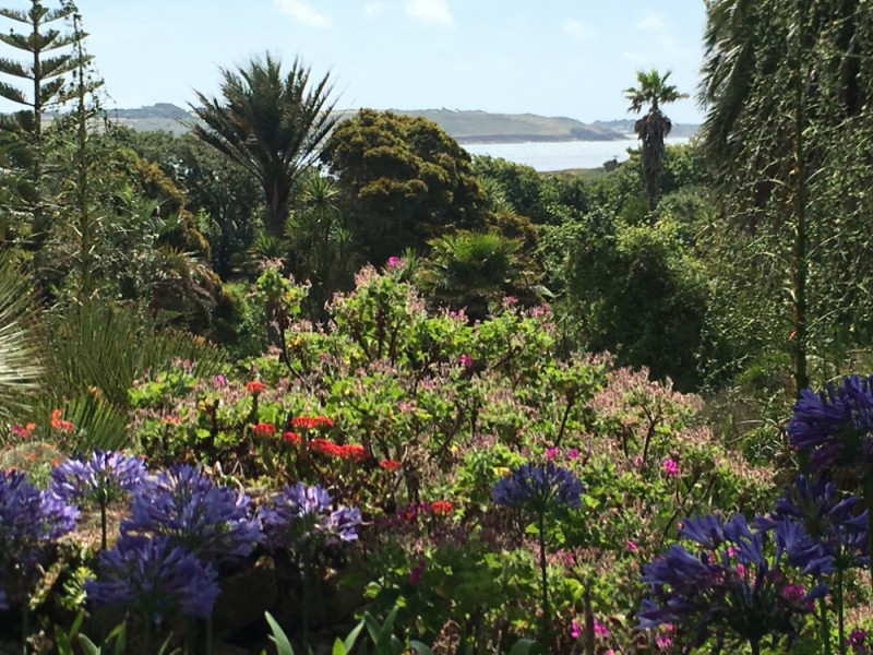 Scilly Inseln Tresco Abbey Gardens