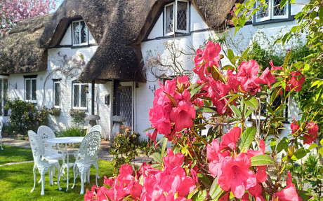 B&B Pension Alexandra, New Forest