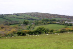 B&B im Bodmin Moor