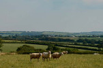 Blick auf die Landschaft