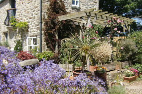 Ferienhaus Janey in Cornwall, nahe Penzance