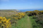 Landschaft Land´s End, Cornwall