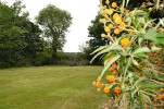 Garten des Ferienhauses