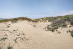 Ausflug - Dünen von Camber Sands