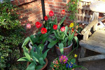 Terrasse im Frühling bei Stella