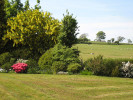 Weitläufiger Garten