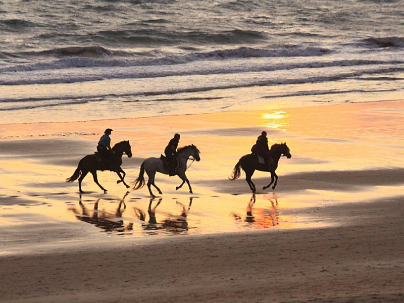 Reiten am Meer in Cornwall 