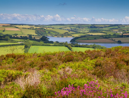 Urlaub im Ferienhaus im Exmoor