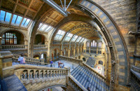 London umsonst, kostenlose Ausflüge - National History Museum