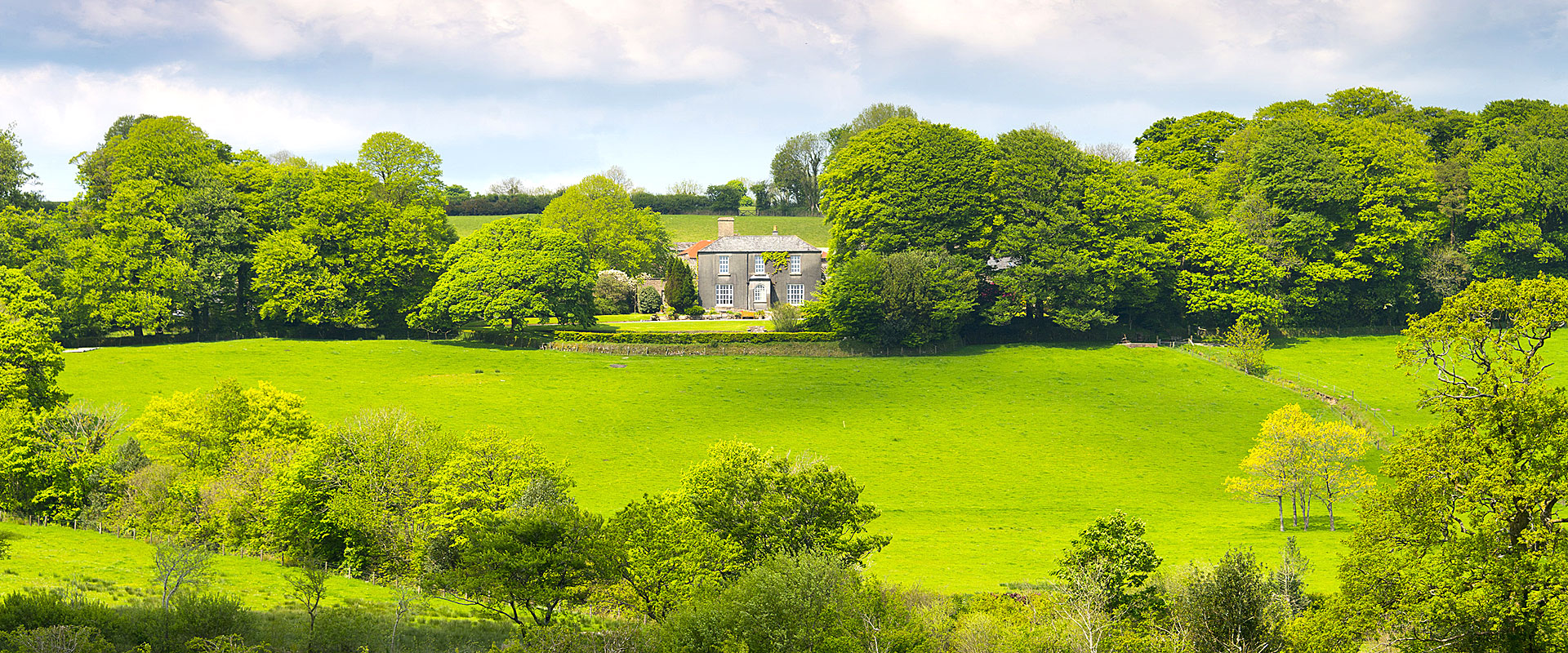 Manor House B&B Violetta im Dartmoor