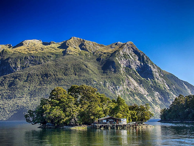 Doubtful Sound - Neuseeland Mietwagenreise