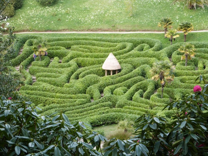 Cornwall Urlaub - Labyrinth im Glendurgan Garden bei Falmouth