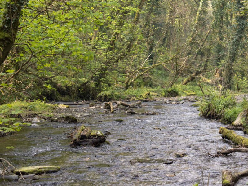 St. Nectans Glen, Cornwall