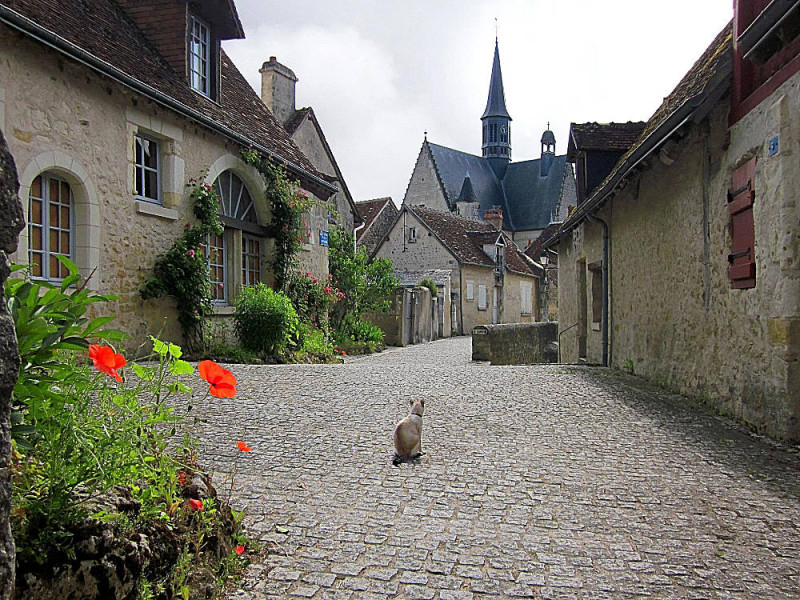 Malerischer Ort Montresor - Urlaub Loire