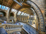 National History Museum London Instagram Spot