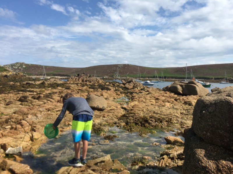 Urlaub mit Kind auf Scilly Insel Bryher - Rockpooling