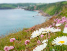 Wanderweg bei Mevagissey