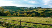 Blick übers Dartmoor