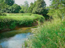 Fluss auf dem Anwesen