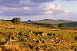 Bodmin Moor